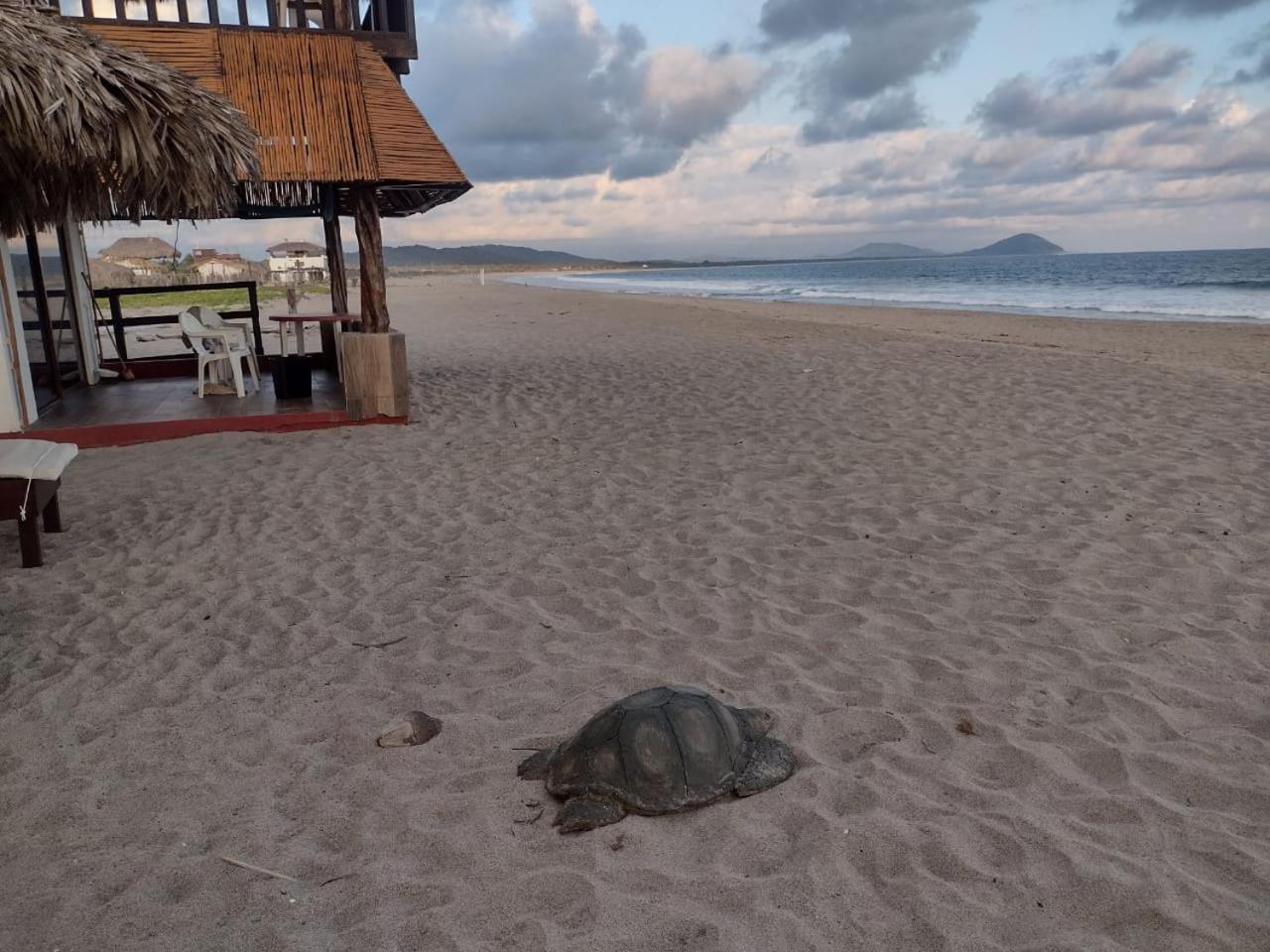 Cabanas Alta Mar Guayabas Exteriér fotografie